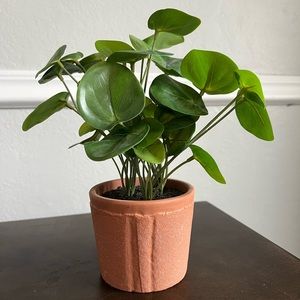 Hearth and Hand Fake Decorative Plant